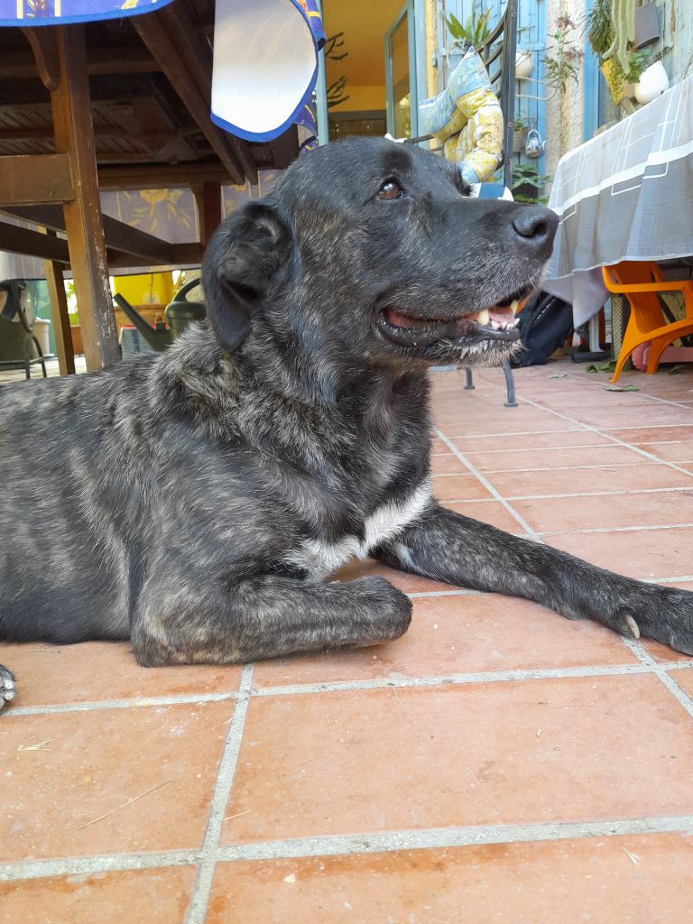 Onda da nazare - do celeiro